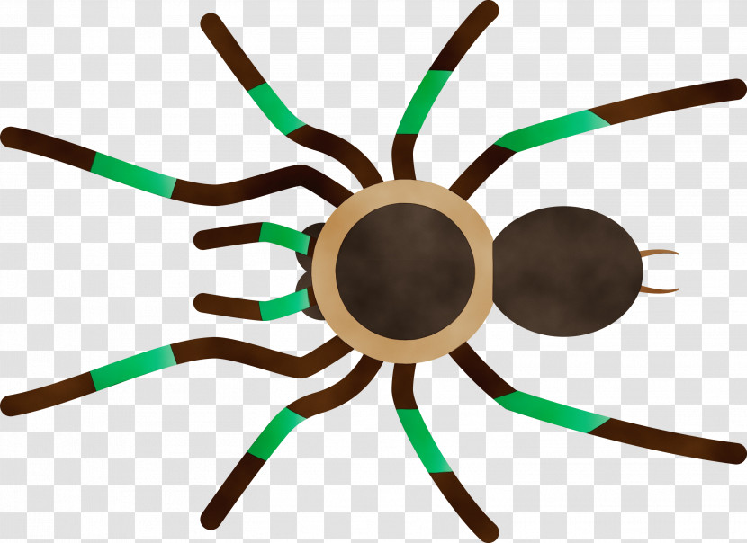 Insect Line Transparent PNG