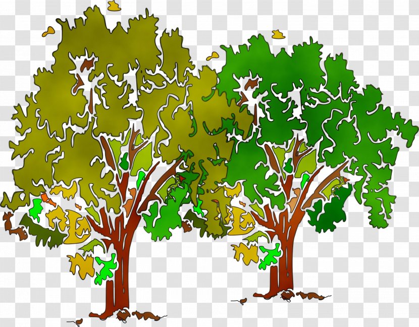 Arbor Day - Plant - Branch Plane Transparent PNG