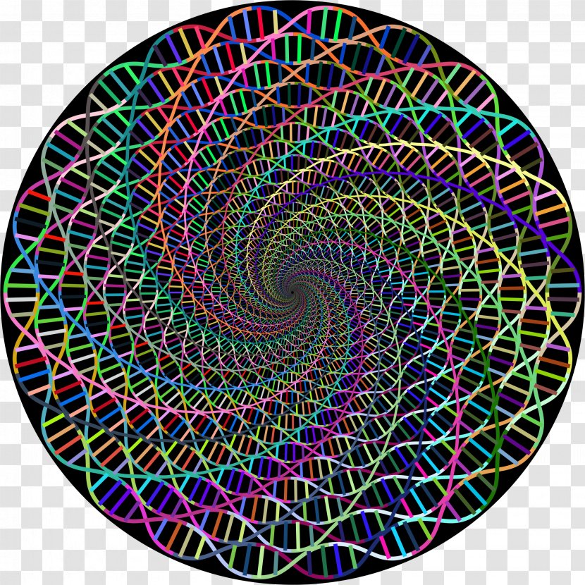 Curve Circle Spiral Clip Art - Helix - Vortex Transparent PNG