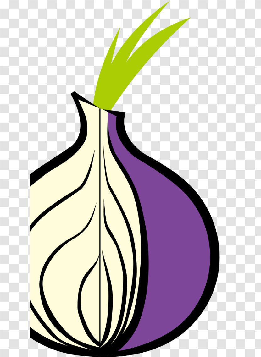 Tor .onion Web Browser Anonymous Browsing Onion Routing Transparent PNG