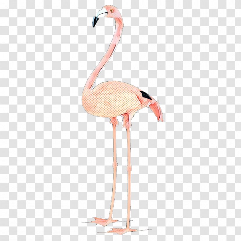 Neck Beak - Flamingo Transparent PNG
