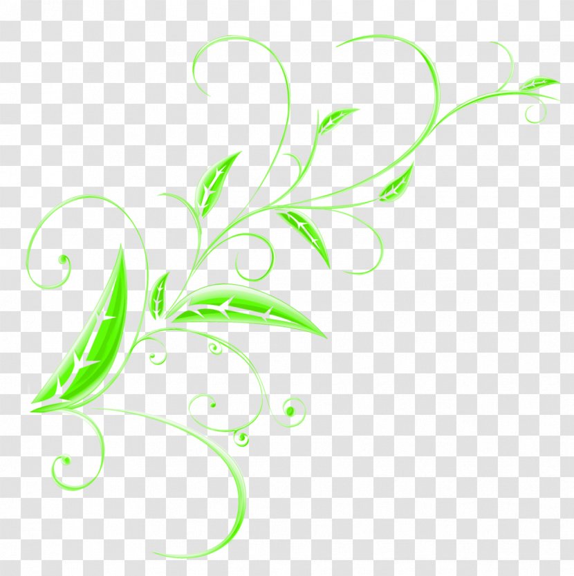 Flower Ornament Clip Art - Plant - Elements Transparent PNG