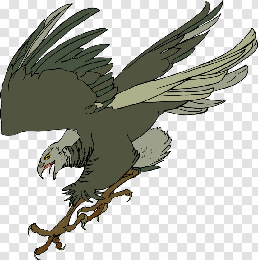 Bald Eagle Hawk Common Buzzard - Wing Transparent PNG