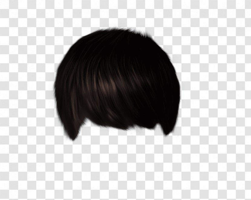 Black Hair Coloring Wig M - Fur - Style For Editing Transparent PNG
