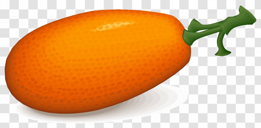 Fruit Kumquat Clip Art - Vegetable - Persimmon Transparent PNG