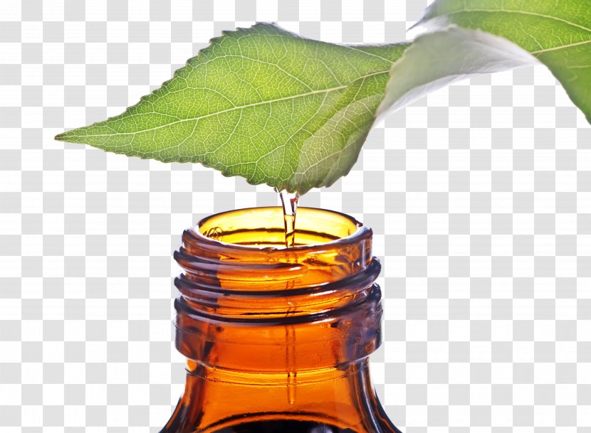 Tea Tree Oil Narrow-leaved Paperbark Essential - Narrowleaved - Rapeseed Transparent PNG