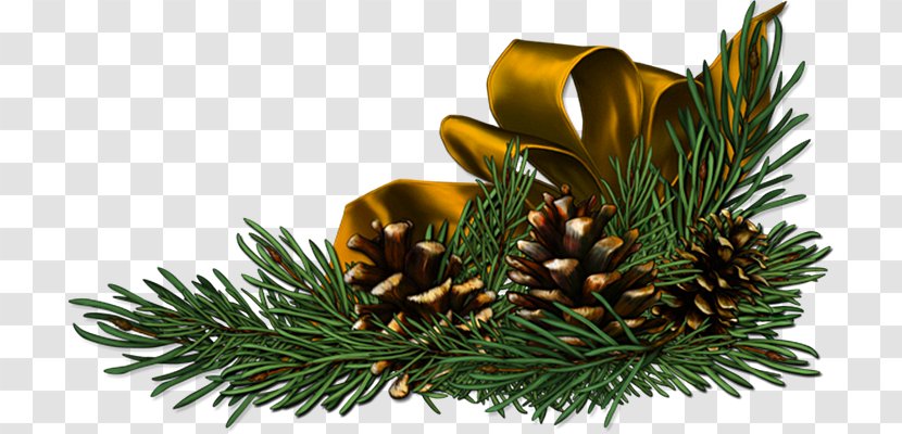 Christmas Tree Desktop Wallpaper Widescreen - Pine Family Transparent PNG