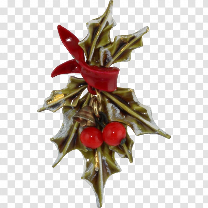 Holly Christmas Decoration Aquifoliales Ornament - HOLLY Transparent PNG