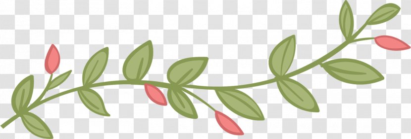 Cut Flowers Floral Design Leaf Branch - Watercolor Transparent PNG