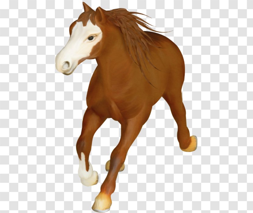 Foal Mustang Centerblog Stallion Pony - Animal Figure Transparent PNG