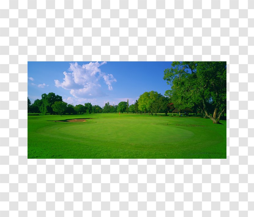 Golf Course Clubs Grassland Leisure - Field Transparent PNG