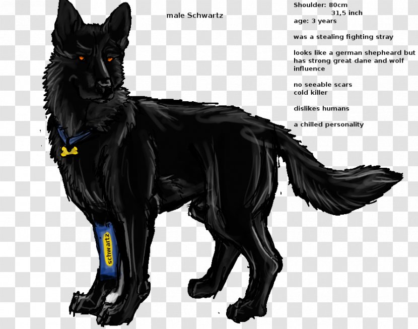 Dog Breed German Shepherd Tail GroupM - Pare Transparent PNG