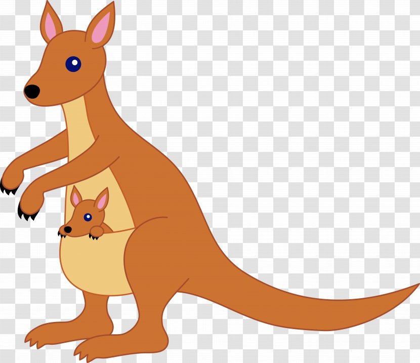 Kangaroo Free Content Clip Art - Illustration Transparent PNG