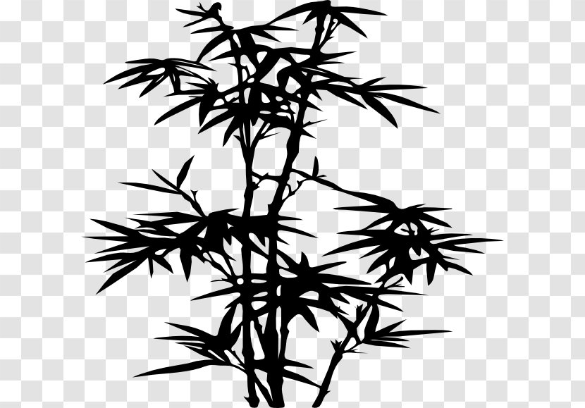 Wall Decal Bamboo Sticker - Twig Transparent PNG