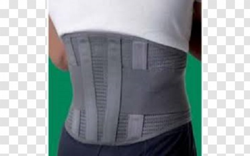 Waist Lumbar Vertebrae Low Back Pain Sciatica Abdomen - Frame - Belt Transparent PNG