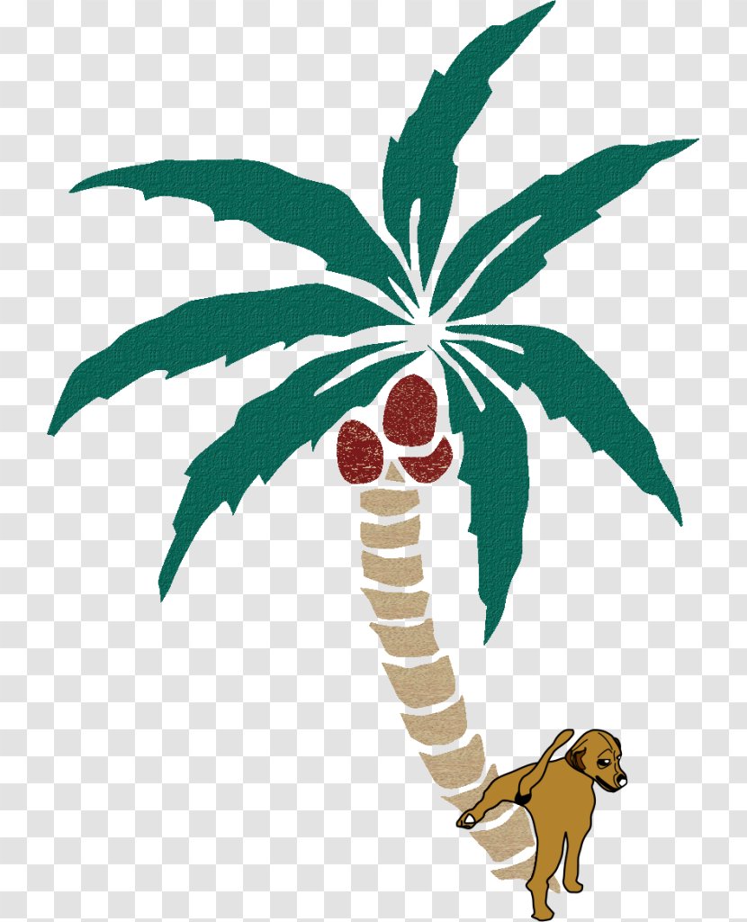 Arecaceae Coconut Tree Clip Art - Logo Transparent PNG