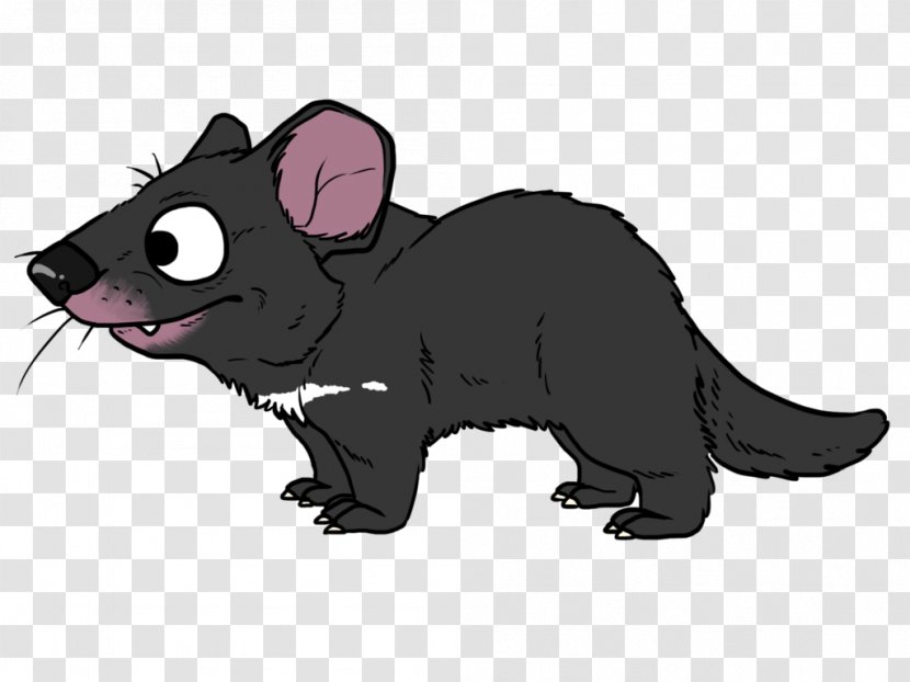 Whiskers Mouse Rat Cat Dog - Small To Medium Sized Cats Transparent PNG