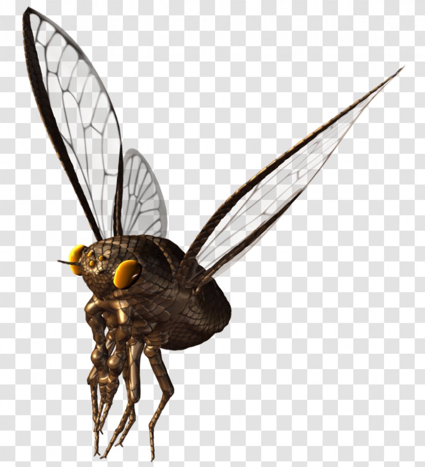 Bee True Bugs Wing Insect Butterfly - Fly Transparent PNG