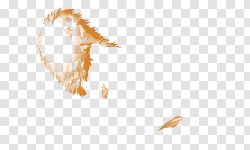 Bird Of Prey Beak Desktop Wallpaper Feather Transparent PNG