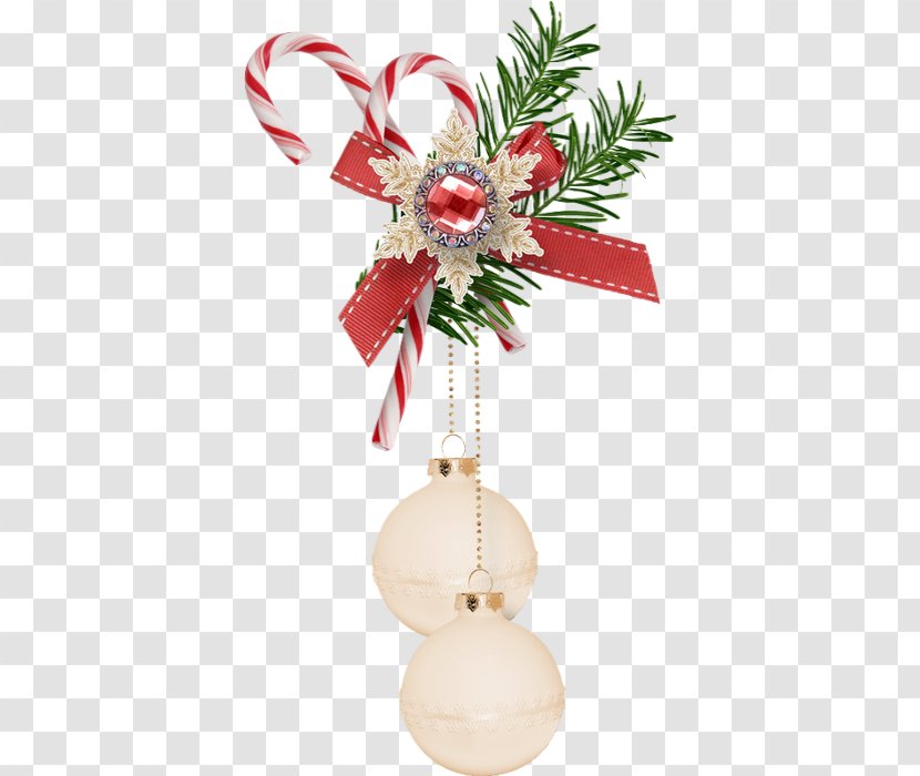 Merry Christmas Design - Ornament - Holly Pine Transparent PNG