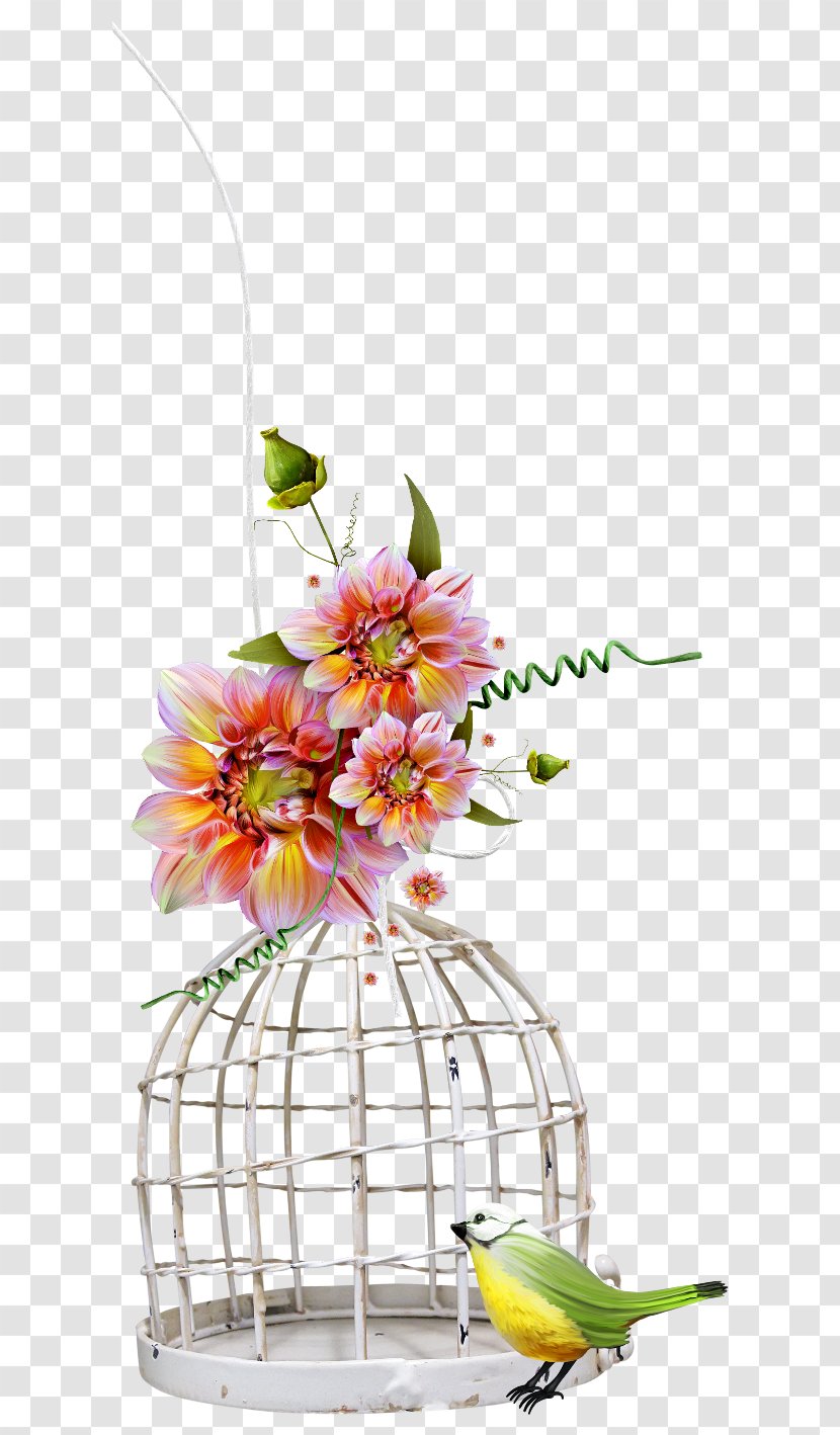 Bird Cage Owl Clip Art - Cut Flowers - Birdcage Transparent PNG