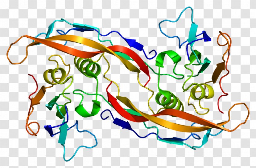 BMPR1A Bone Morphogenetic Protein Receptor Wnt Signaling Pathway - Kinase Transparent PNG