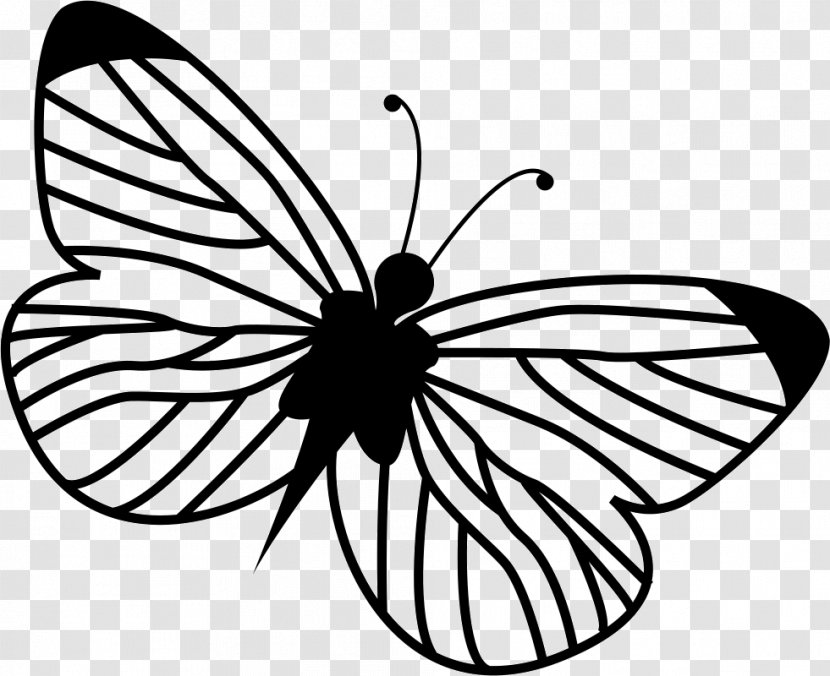 Monarch Butterfly Clip Art Barbecue Transparent PNG