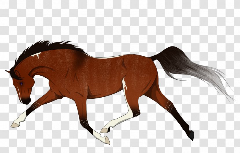 Foal Mane Stallion Pony Mustang Transparent PNG