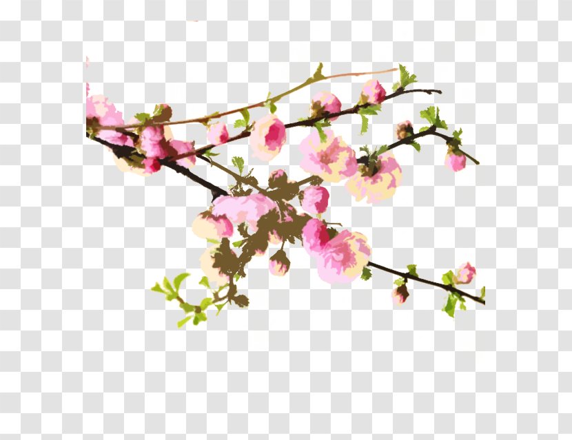 Cherry Blossom Peach Wallpaper - Hand-painted Transparent PNG