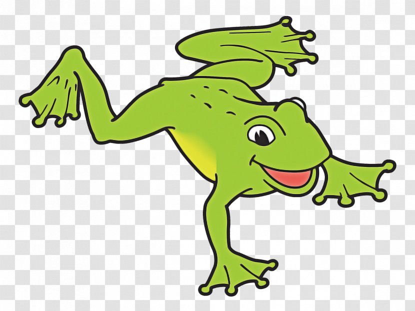 Green Cartoon Shrub Frog Tree Frog Hyla Transparent PNG