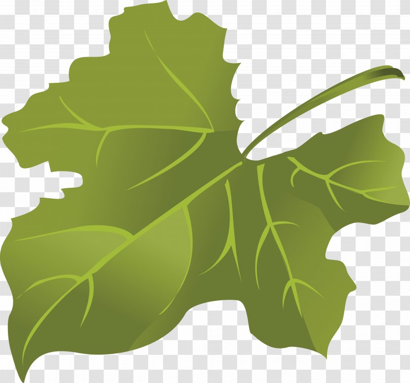 Maple Leaf Green - Computer Graphics - Leaves Transparent PNG