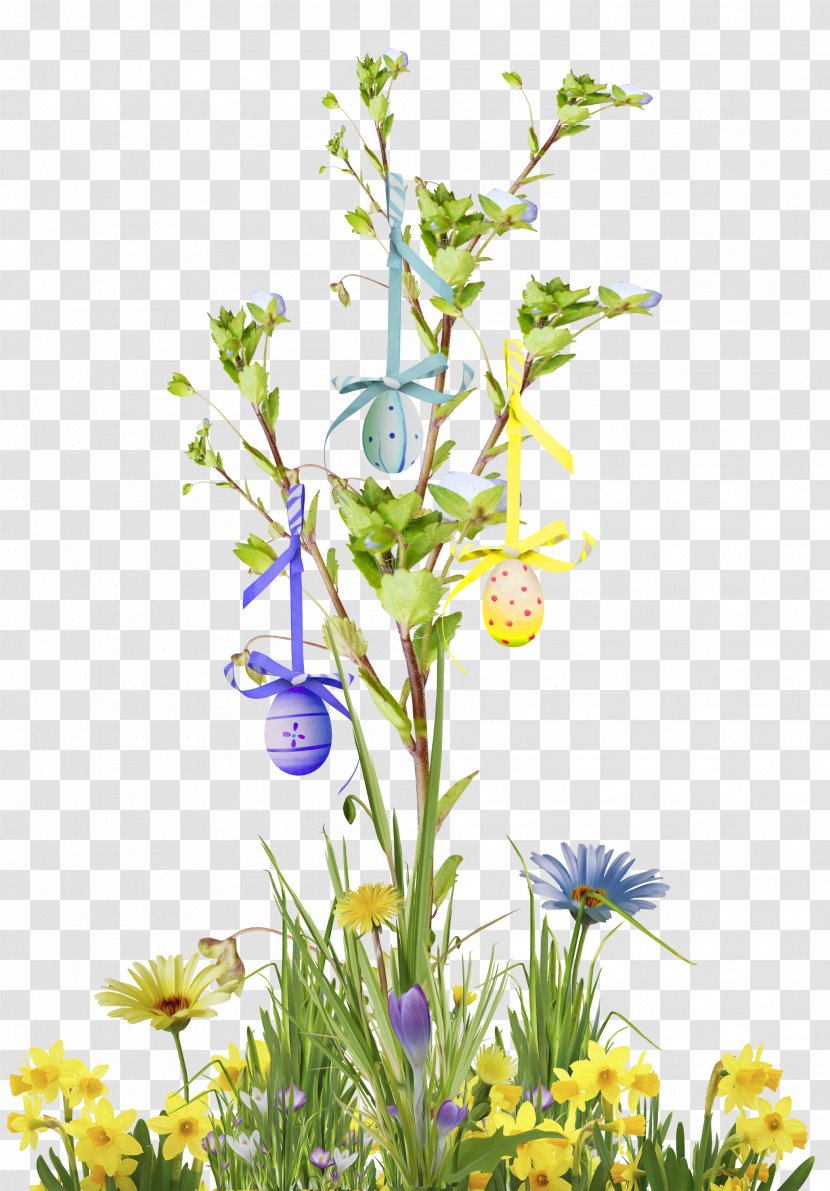 Promenade Du Peyrou Cut Flowers Plant Stem Calendar - 1213 - Sarah Transparent PNG