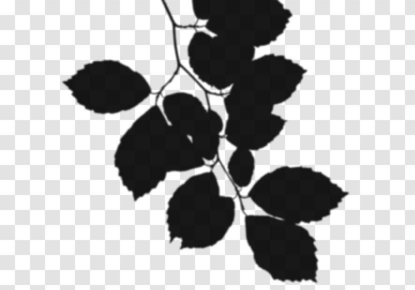 Black & White - Plant - M Pattern Silhouette Fruit Leaf Transparent PNG