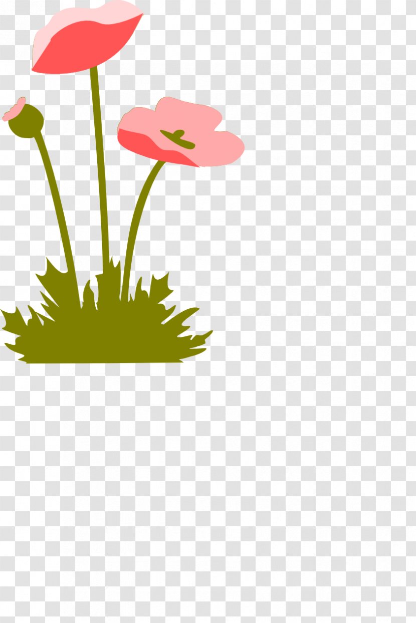 Poppy Paper - Flora - Flowers Transparent PNG