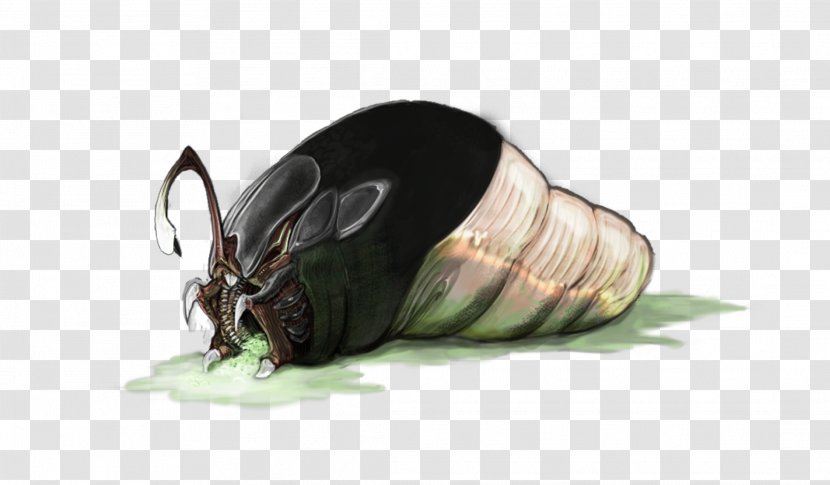 Fauna Insect Scarab Pest Membrane - Beetle - Jeepers Creepers Transparent PNG