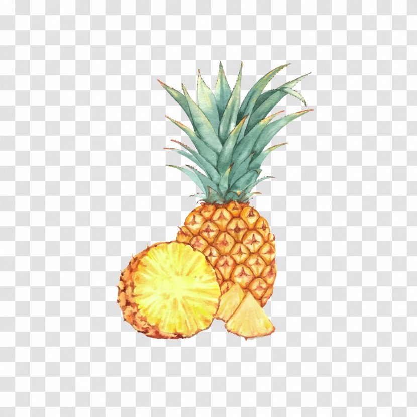 Watercolor Painting Fruit Drawing Illustration - Plant - Pineapple Transparent PNG