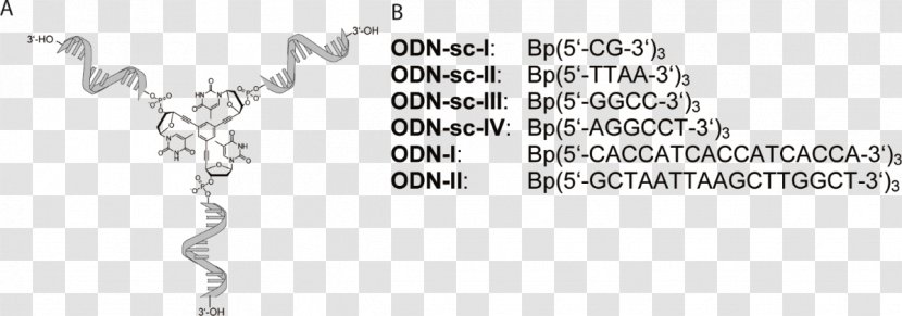 Electron Paramagnetic Resonance Spectrum Spectral Line Shape Angle - Body Jewelry - Nucleic Acid Sequence Transparent PNG