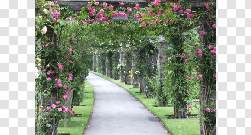 Pergola Royal Botanic Gardens, Kew Vine Rose - Garden Estate Transparent PNG