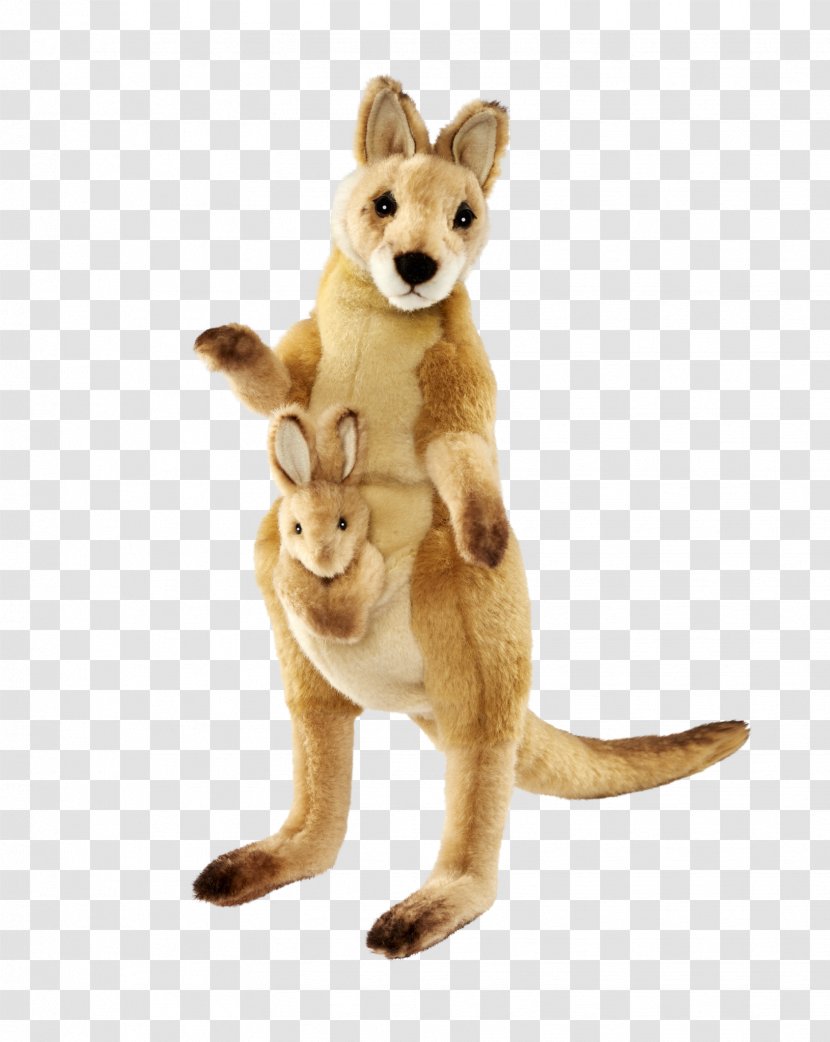 Red Fox Cat Kangaroo Stuffed Animals & Cuddly Toys Tail - Carnivoran Transparent PNG