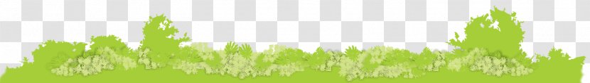 Wheatgrass Lawn Energy Grassland Desktop Wallpaper - Water Transparent PNG
