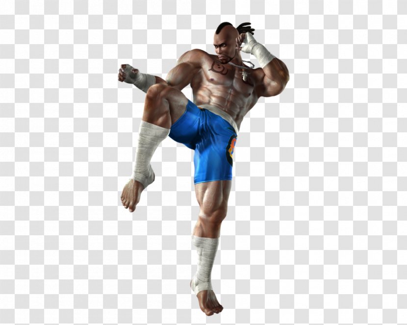 Tekken 5: Dark Resurrection 4 2 6 - Bruce Irvin - King Transparent PNG