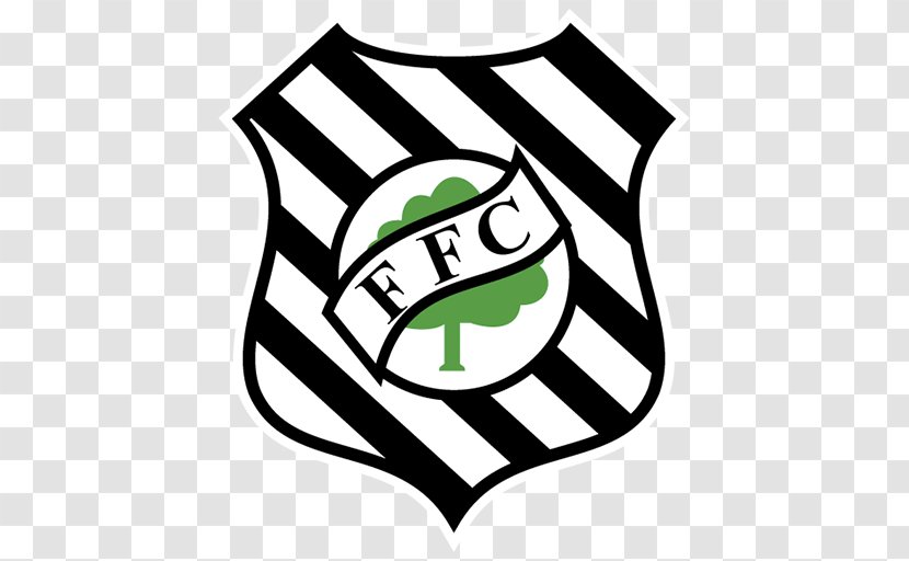 Campeonato Brasileiro Série B Figueirense FC Serie A Criciúma Esporte Clube Oeste Futebol - Area - Football Transparent PNG