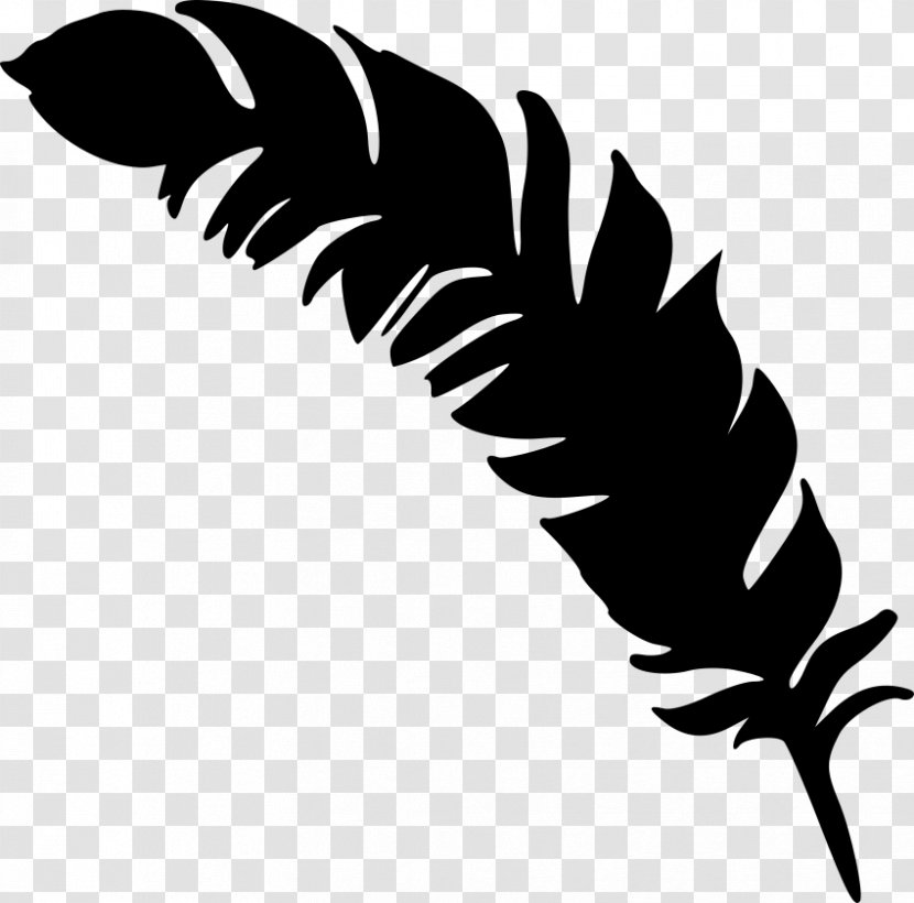 Feather Silhouette Drawing - Quill Transparent PNG