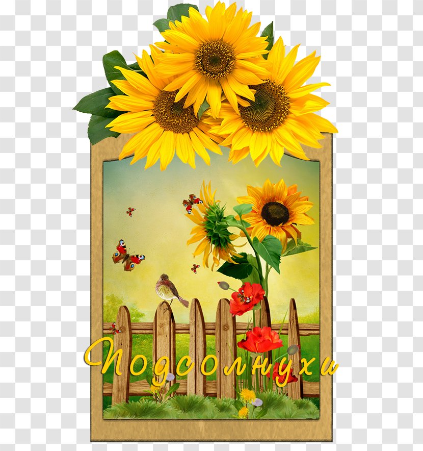 Wedding Invitation Paper Common Sunflower Greeting & Note Cards - Seed - Flower Transparent PNG
