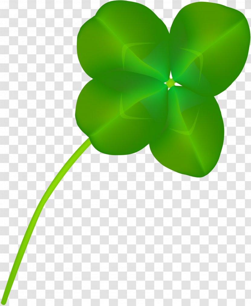 Four-leaf Clover Symbol White Clip Art - Plant - Gastrointestinal Transparent PNG