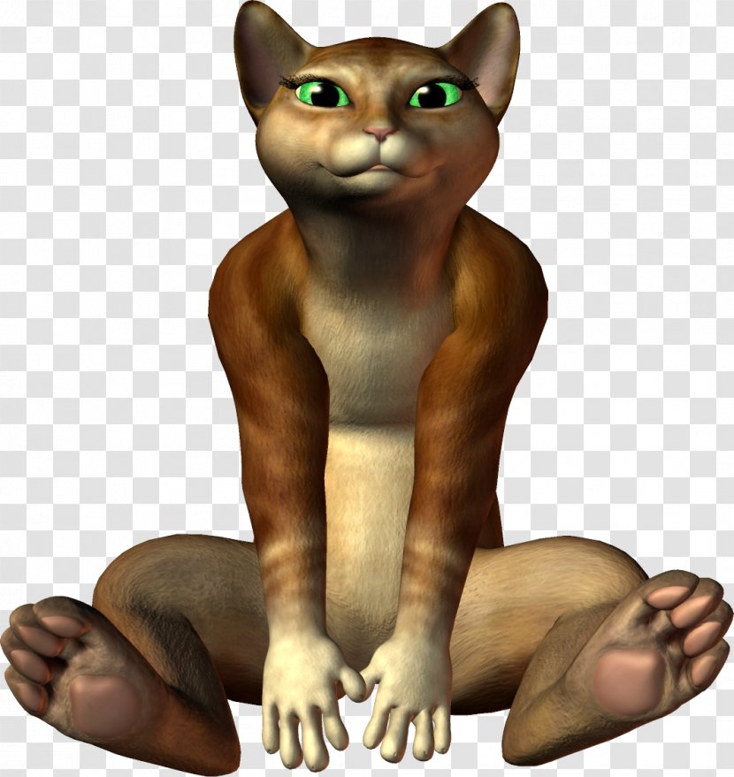 Havana Brown Whiskers Kitten Wildcat Paw - Tail - Character Transparent PNG