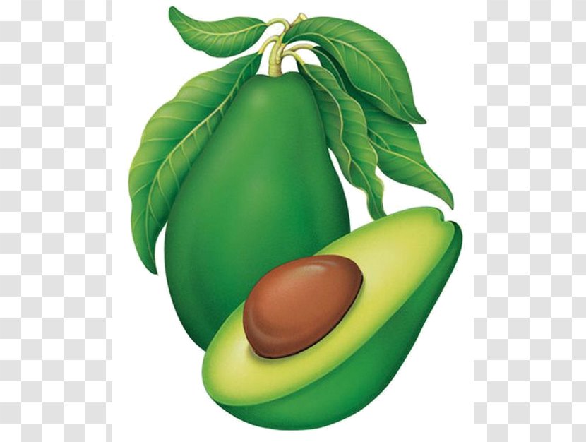 Avocado Diet Food Superfood Vegetable Transparent PNG