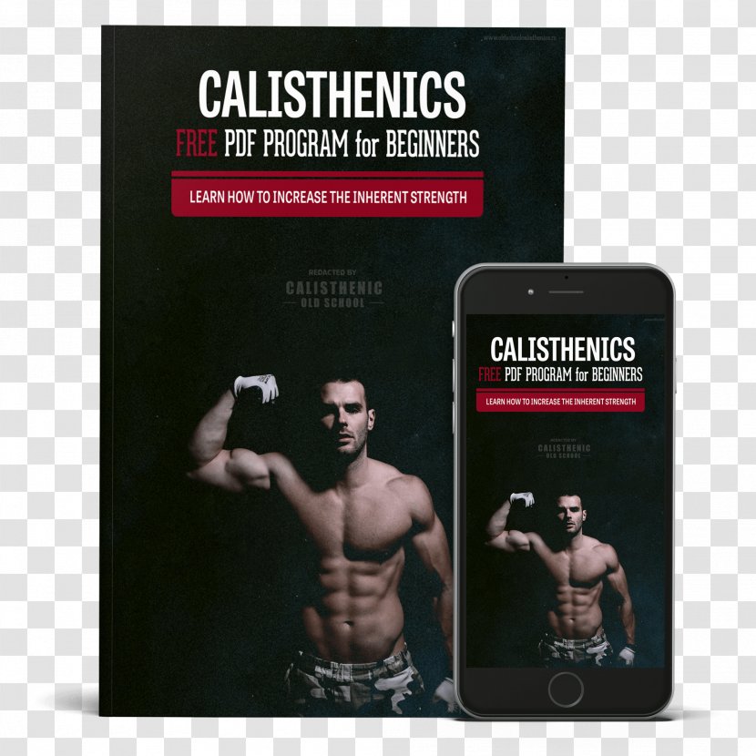 Calisthenics Exercise Bodybuilding Weight Training Dip - Human Body Transparent PNG
