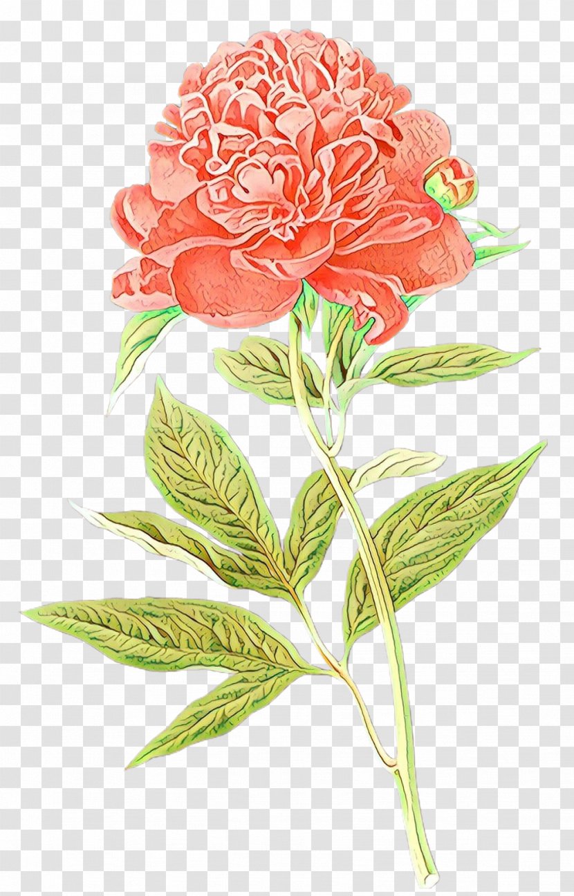 Watercolor Pink Flowers - Plant - Stem Family Transparent PNG