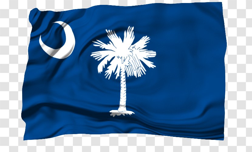 Flag Of South Carolina Senate Army National Guard - Cobalt Blue Transparent PNG